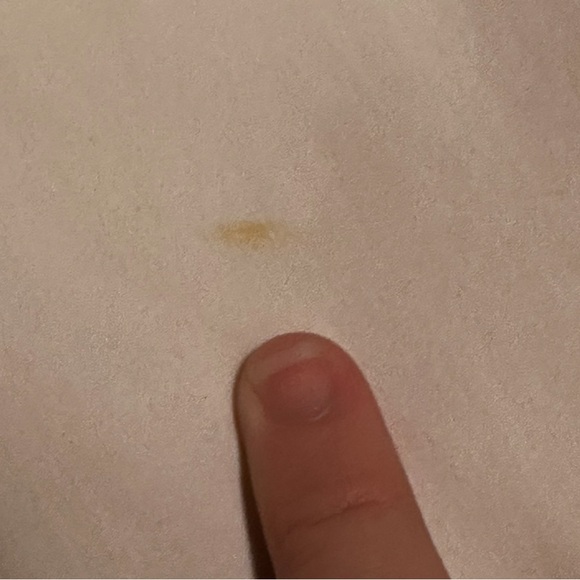 Cache White Floral Bead Shell Embellished Skirt Size 4 Small Stain - Picture 3 of 10